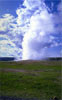 Yellowstone Geyser